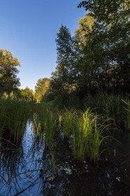 ENS de l'Isère, Marais de Montfort