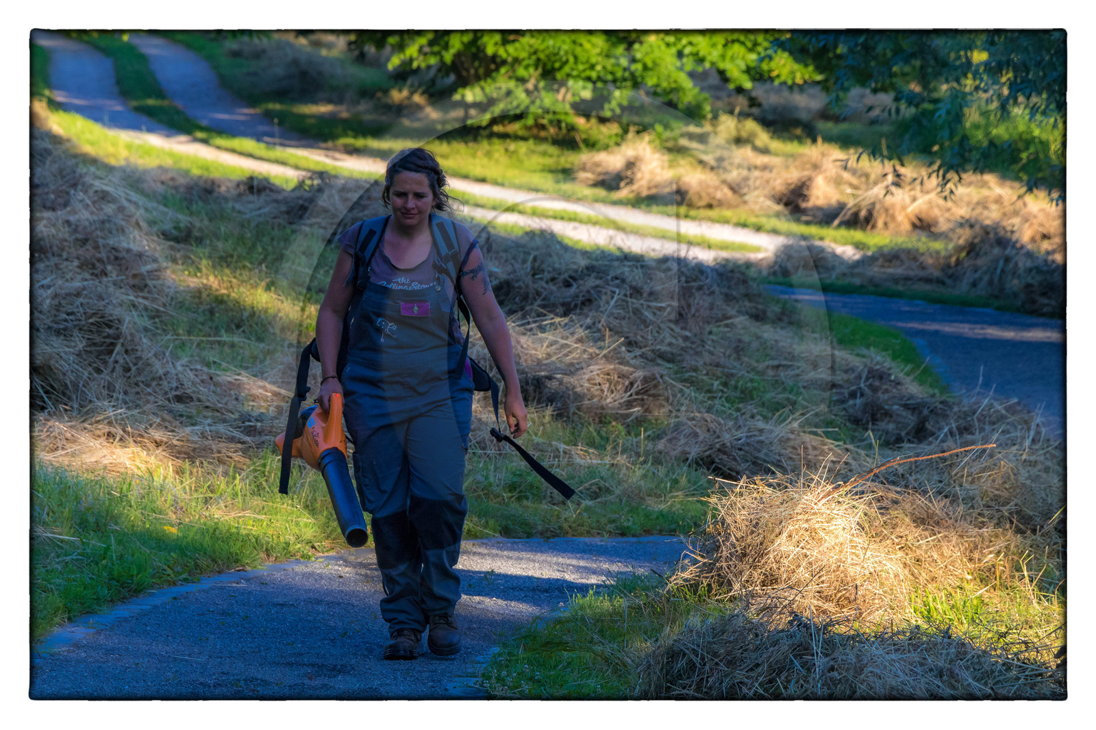 Les jardiniers des jardins de l'eau du Pré Curieux