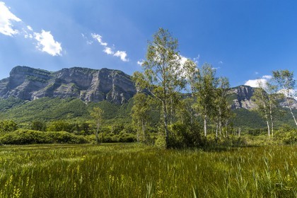 ENS de l'Isère, Marais de Montfort