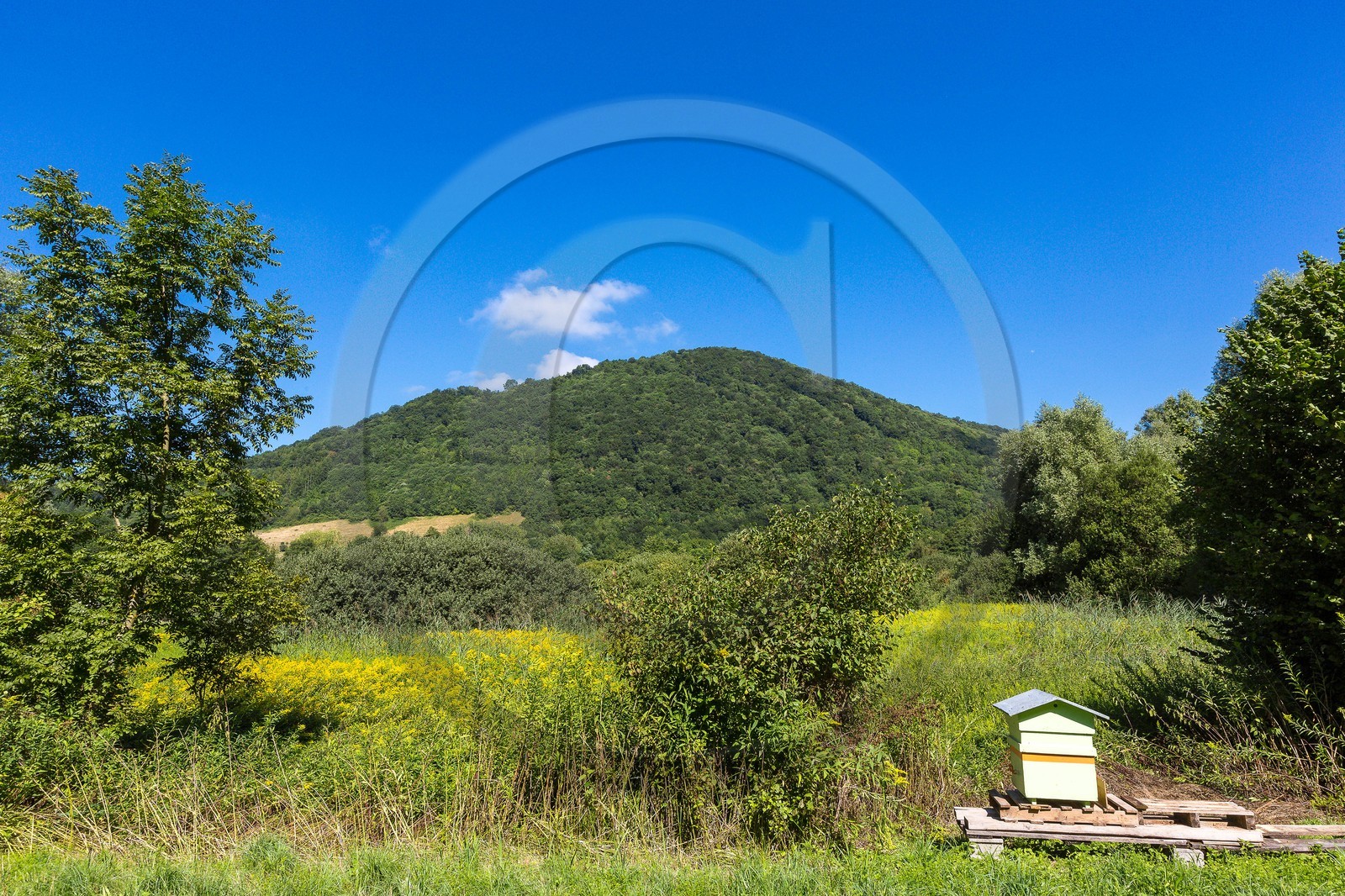 ENS de l'Isère, Marais de Chirens