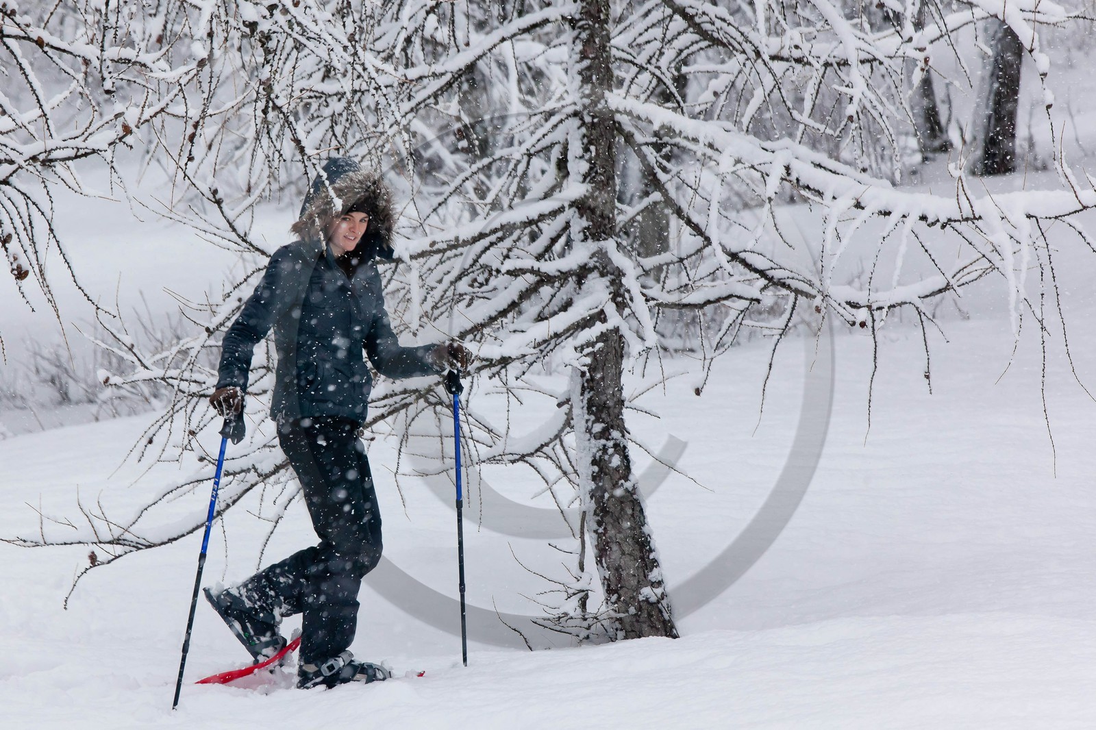 Randonnée, balade en raquettes à neige