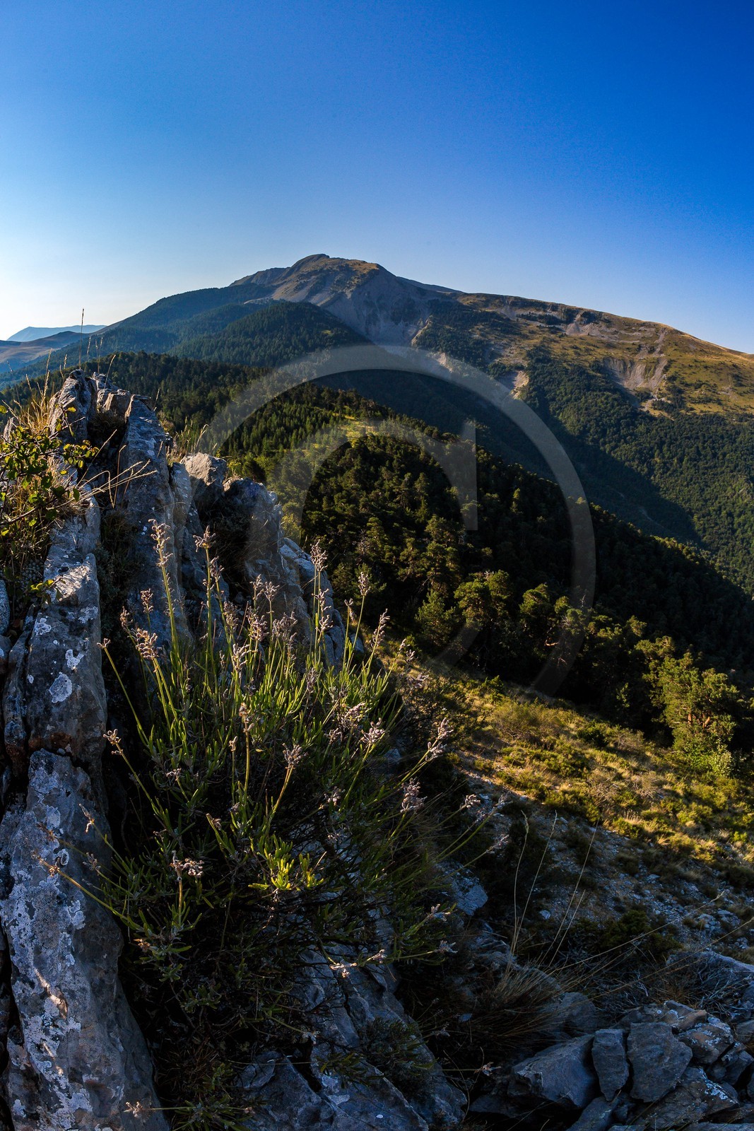 Les Monges, Coste Belle et les Monges 2115 m