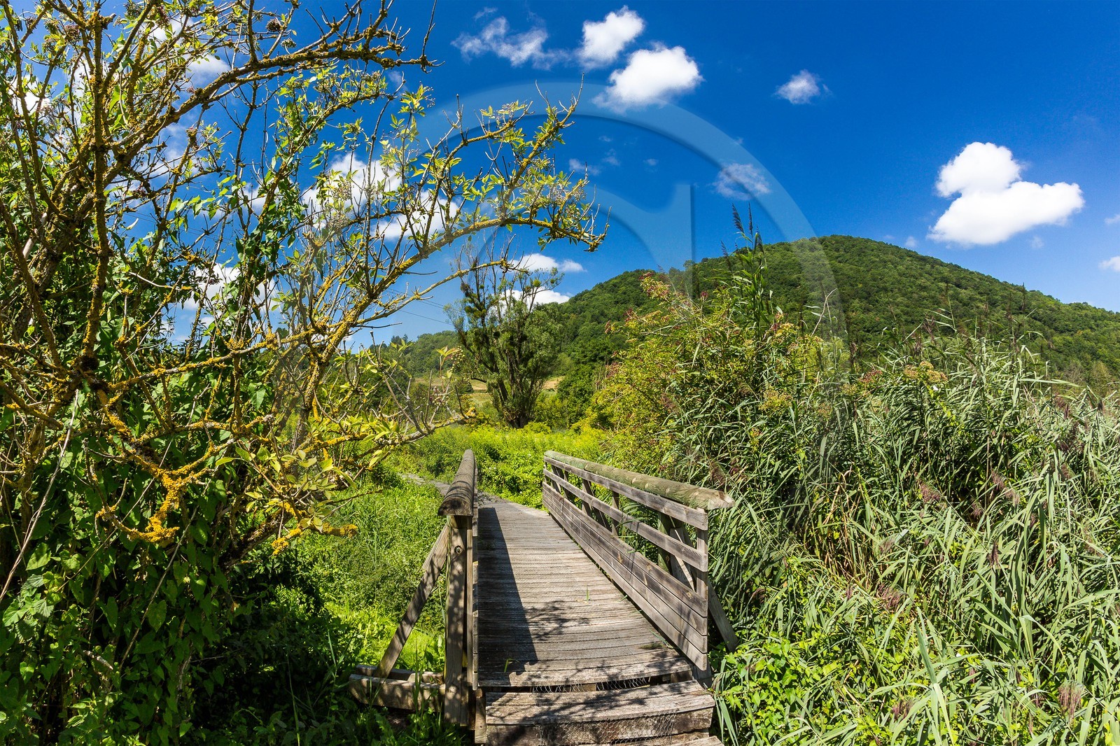 ENS de l'Isère, Marais de Chirens