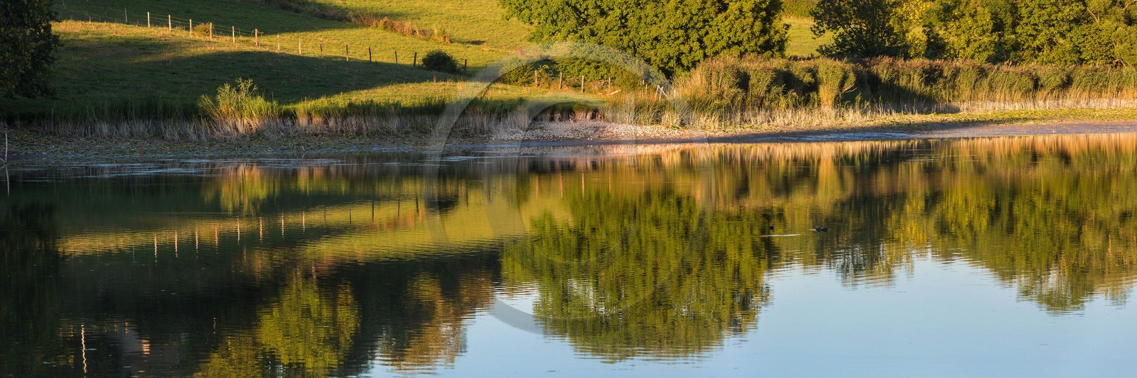 ENS de l'Isère, étang de Montjoux