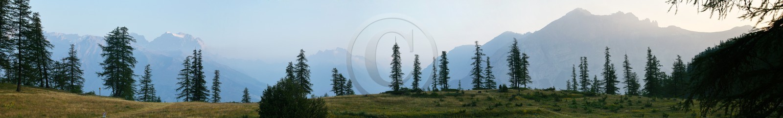 Mélezein du Col de la Pousterle et le Pelvoux