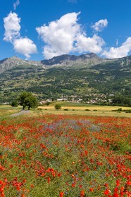 Pays de Serre-Ponçon, village de Chorges