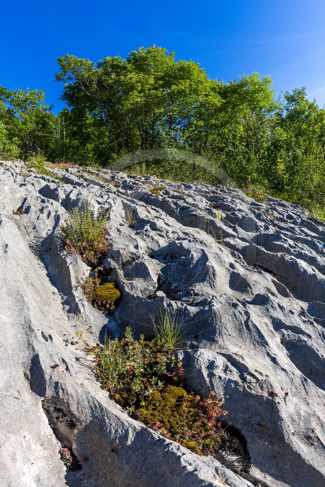 ENS de l'Isère, vallée fossile des Rimets