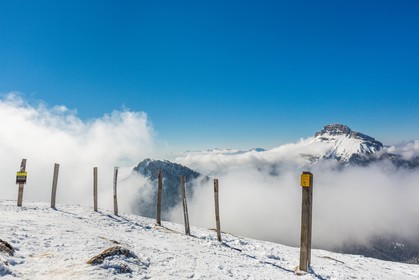 Espace naturel sensible de l'Isère, Col du Coq