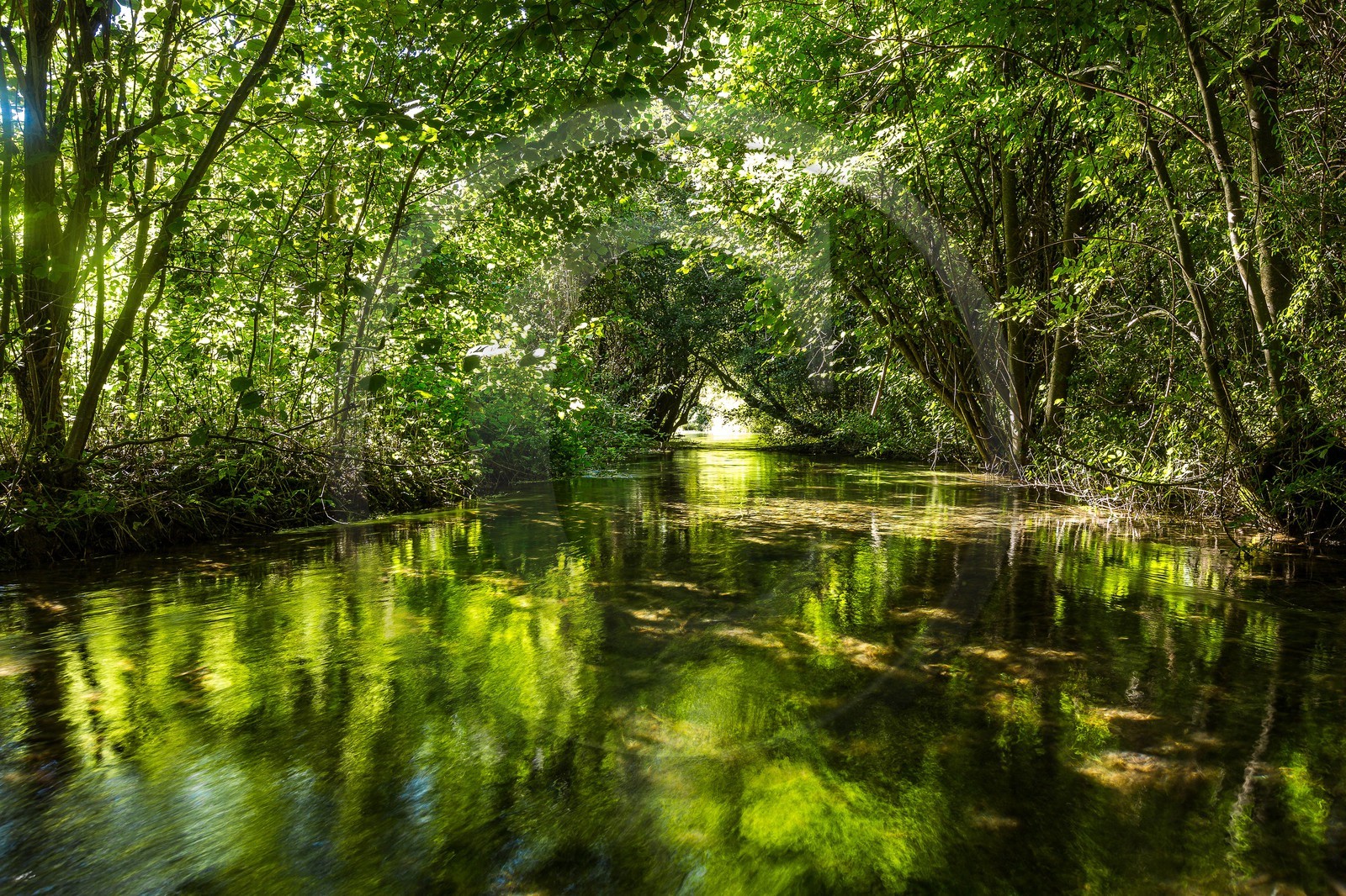ENS de l'Isère, Les Fontaines de Beaufort