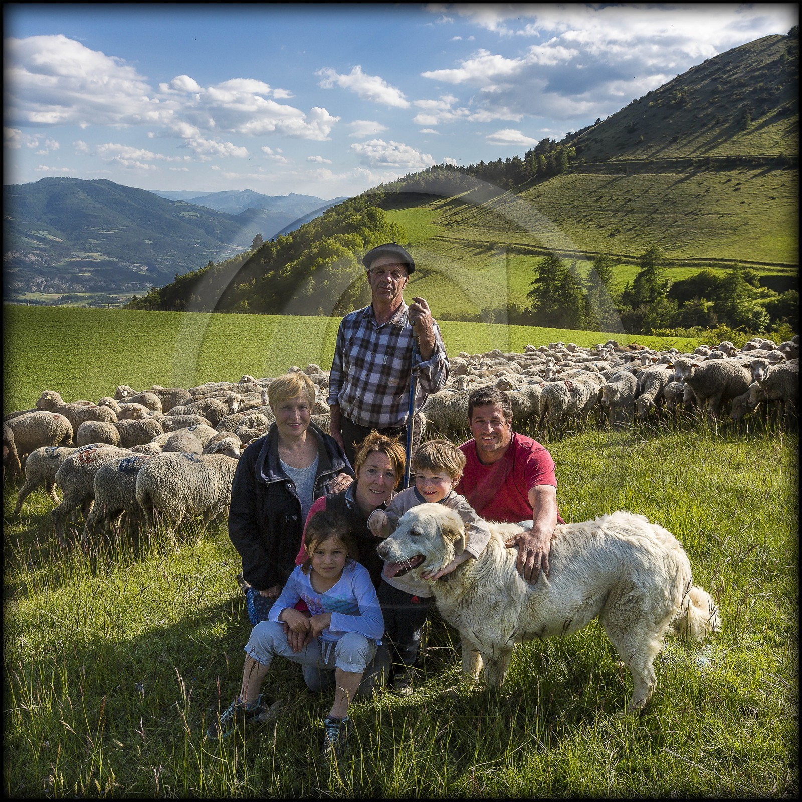Ferme des Sonnailles, élevage et vente direct d'agneau
