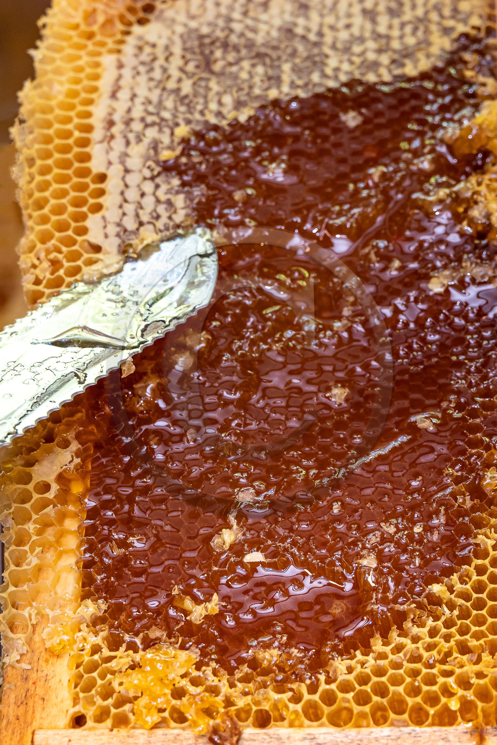 La miellerie du Lauzet