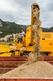 Ceillac, Christophe Gauthier, Exploitant agricole