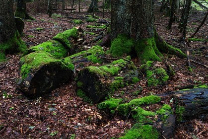 ENS de l'Isère, Les Ecouges