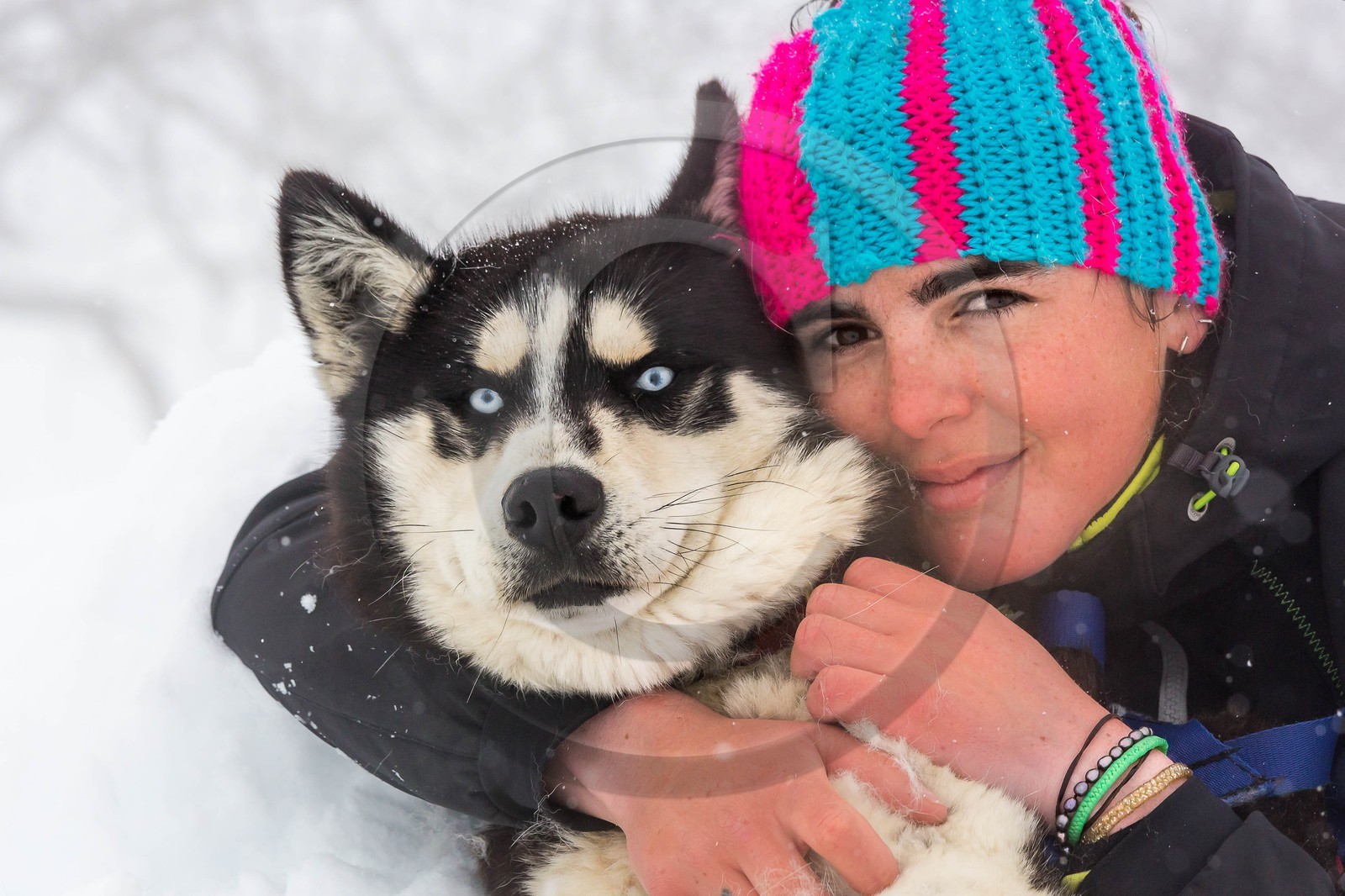 Pays de Serre-Ponçon, Réallon, EdenGaia, chiens de traineau