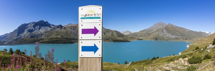 Jardin alpin du Mont-Cenis