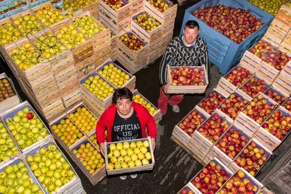 Noëlle et Franck Jacob, producteurs de fruits