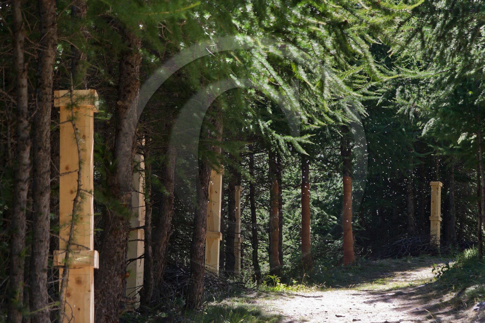 Sentiers Art et Nature Queyras et Val Varaita, Jean-François Marc