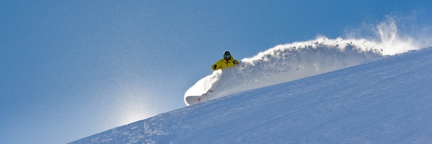 Surf des neige, Snowboard