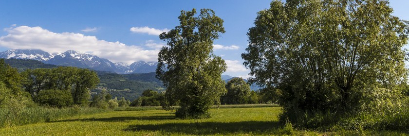 ENS de l'Isère, Marais de Montfort