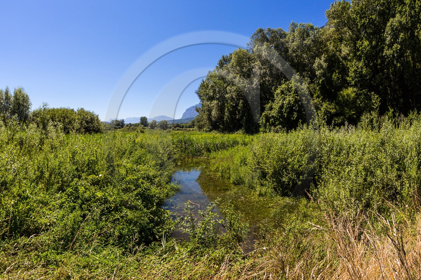 ENS de l'Isère, Marais de Montfort