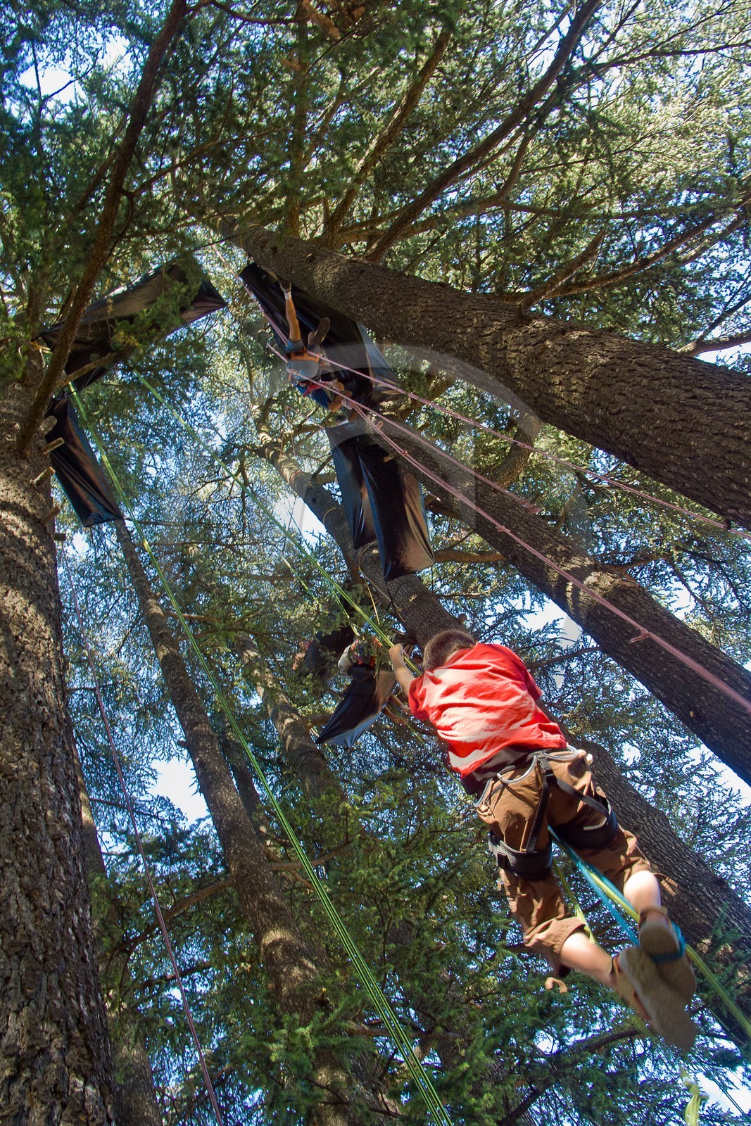 Association Méluzine