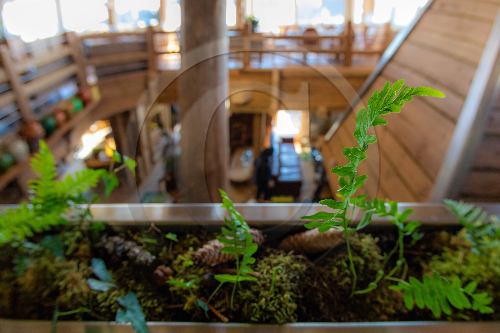 Marc Veyrat, La Maison des Bois