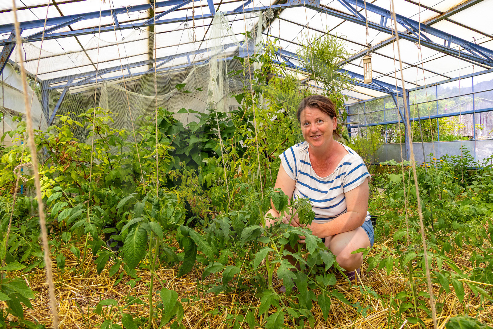 Nibles, Camping à la ferme Agri-Yourte