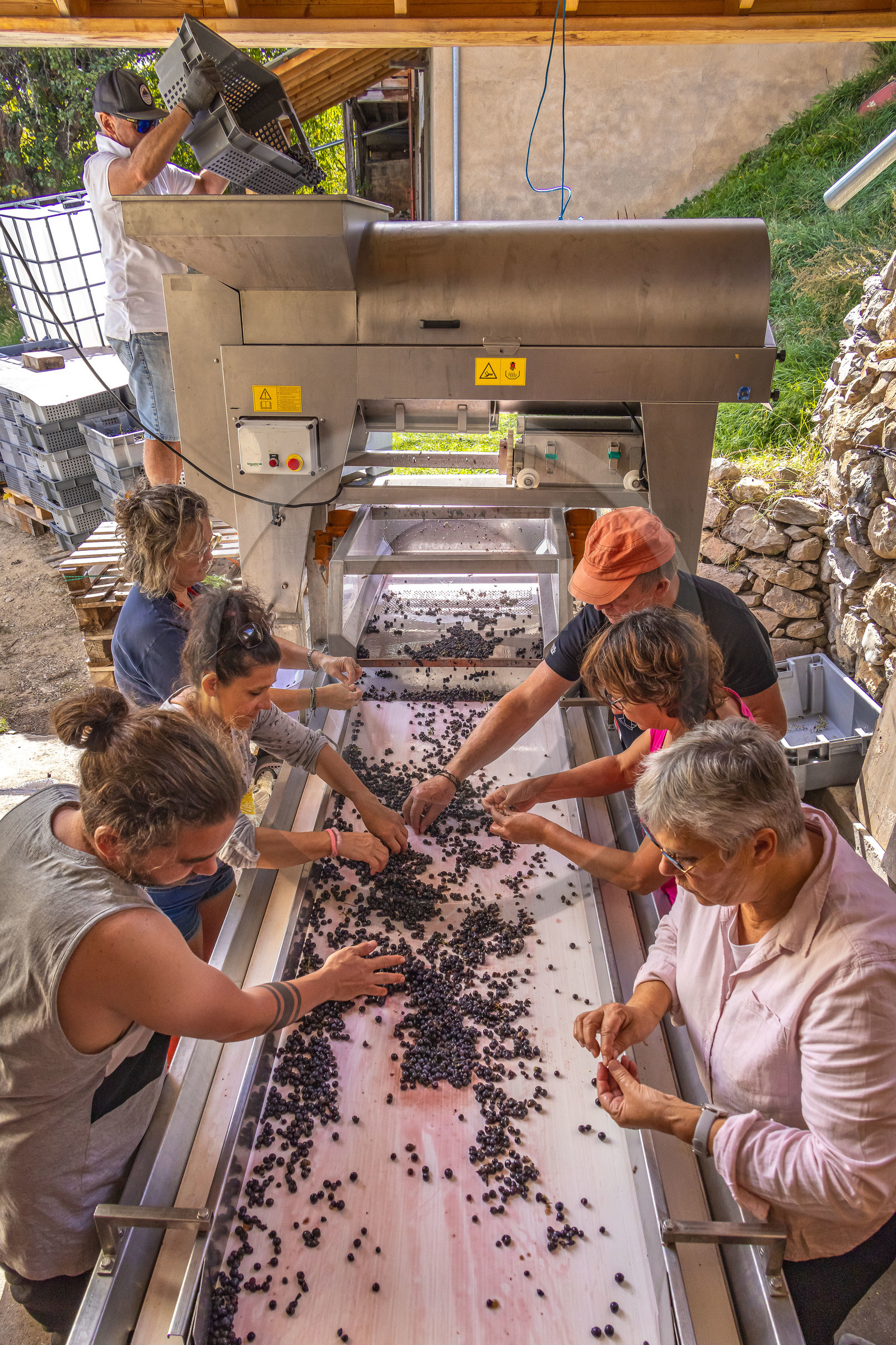 Domaine du Mont Guillaume