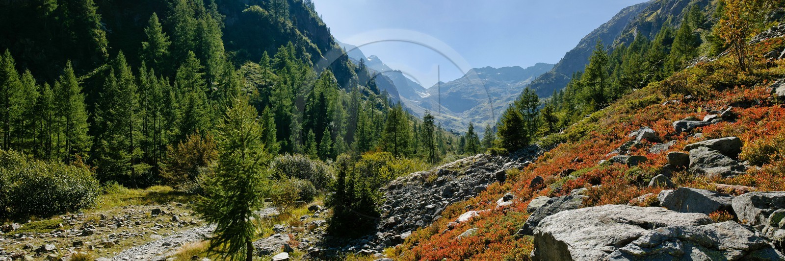 Réserve naturelle du Vallon de Bérard