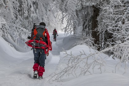 ENS de l'Isère, Les Ecouges
