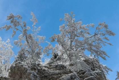 ENS de l'Isère, Les Ecouges