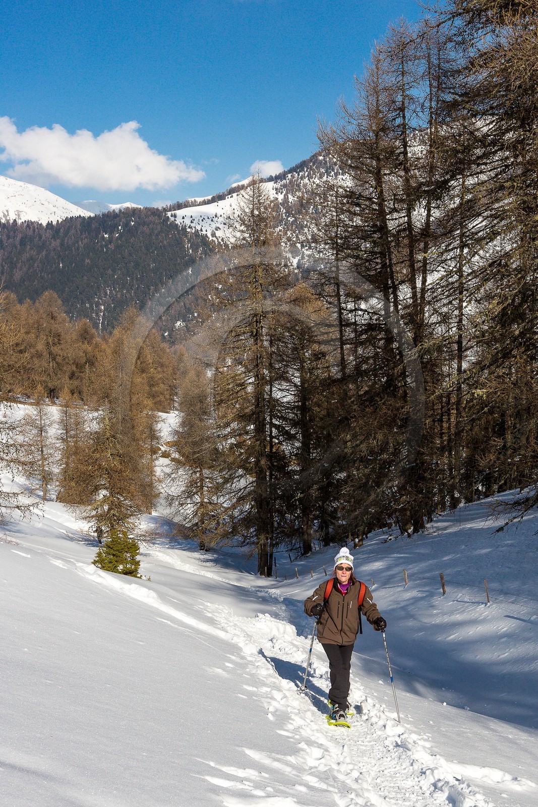 Ancelle, col de Moissière, randonnée à raquettes à neige