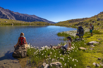 Lac Palluel