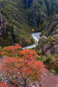 Gorges de Daluis