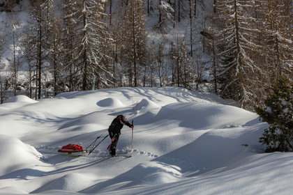 Film : La vallée des loups