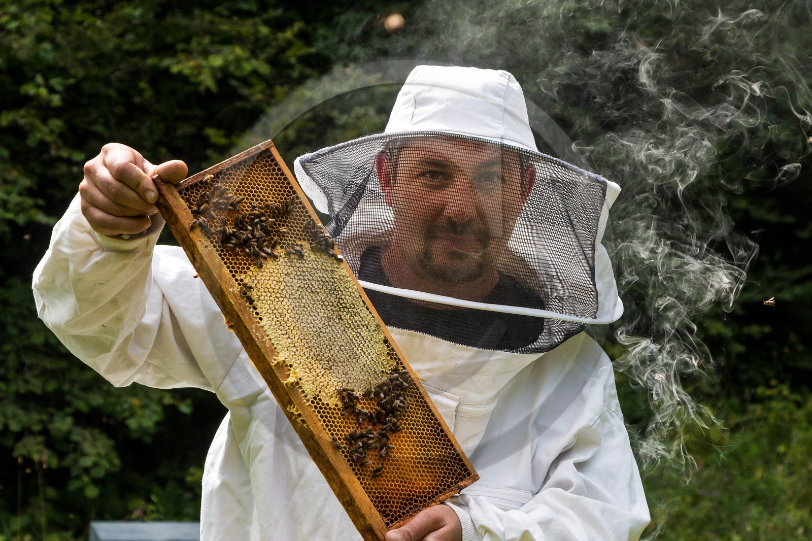 Vallée du Champsaur, miellerie Challet, Geoffrey Challet apiculteur