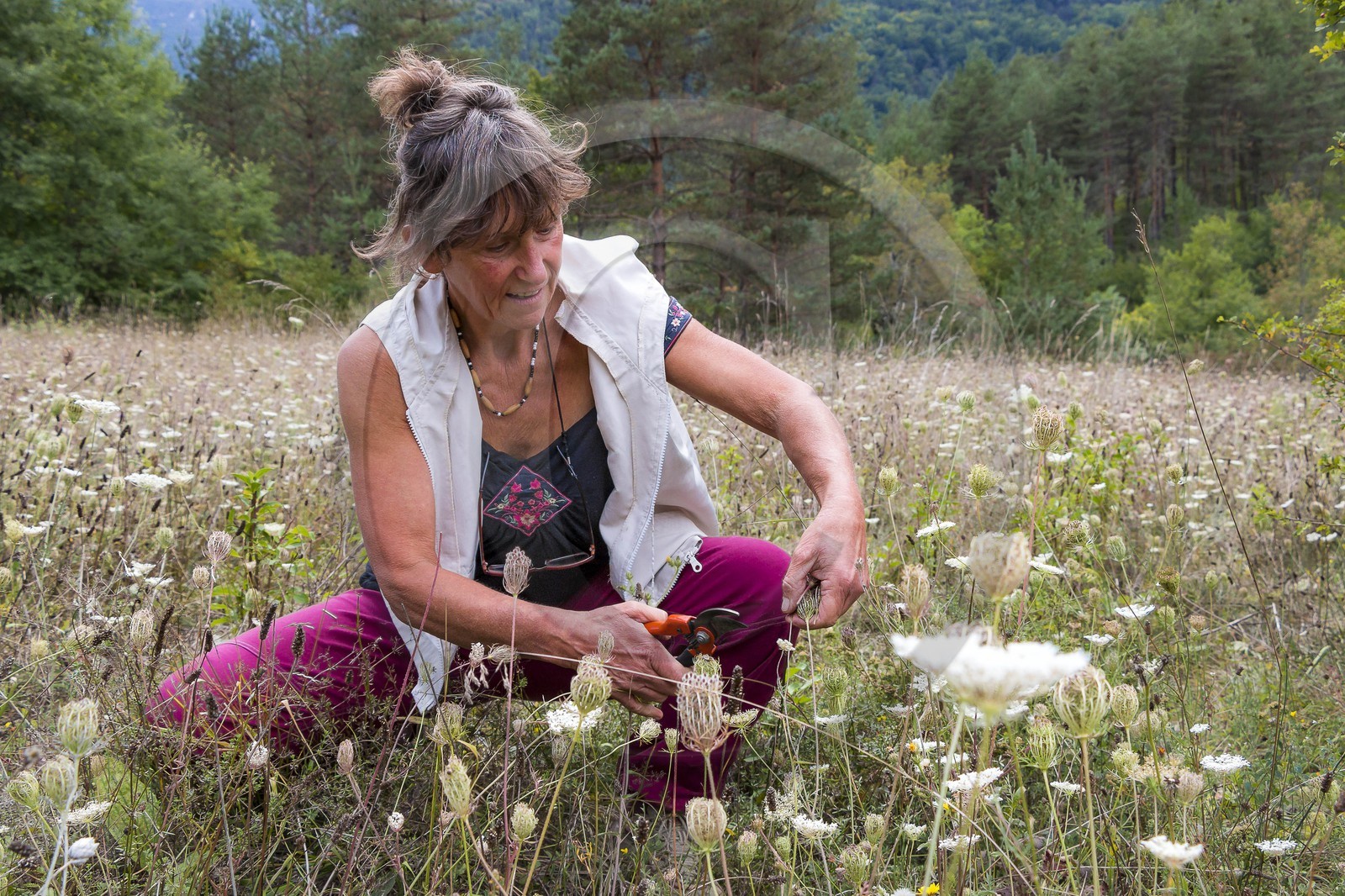 Des roses et des orties, Marie-Jo Etienne