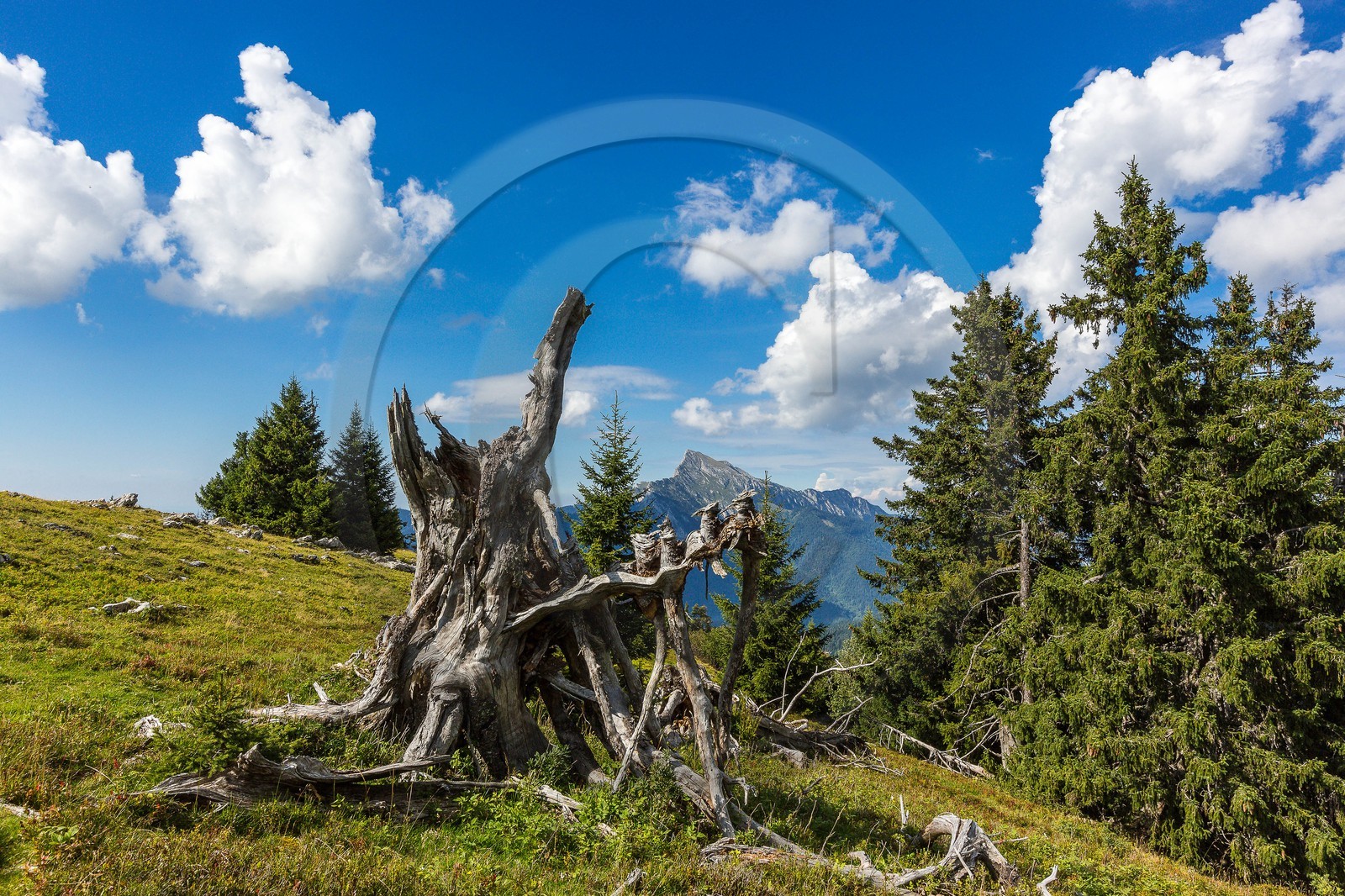 Espace naturel sensible de l'Isère, Col du Coq