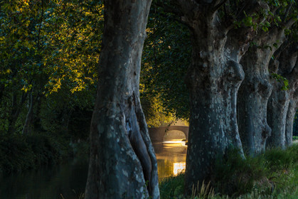 Canal du Midi, inscrit au Patrimoine mondial de l'UNESCO