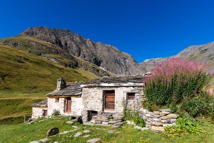 Alpage du Vallon