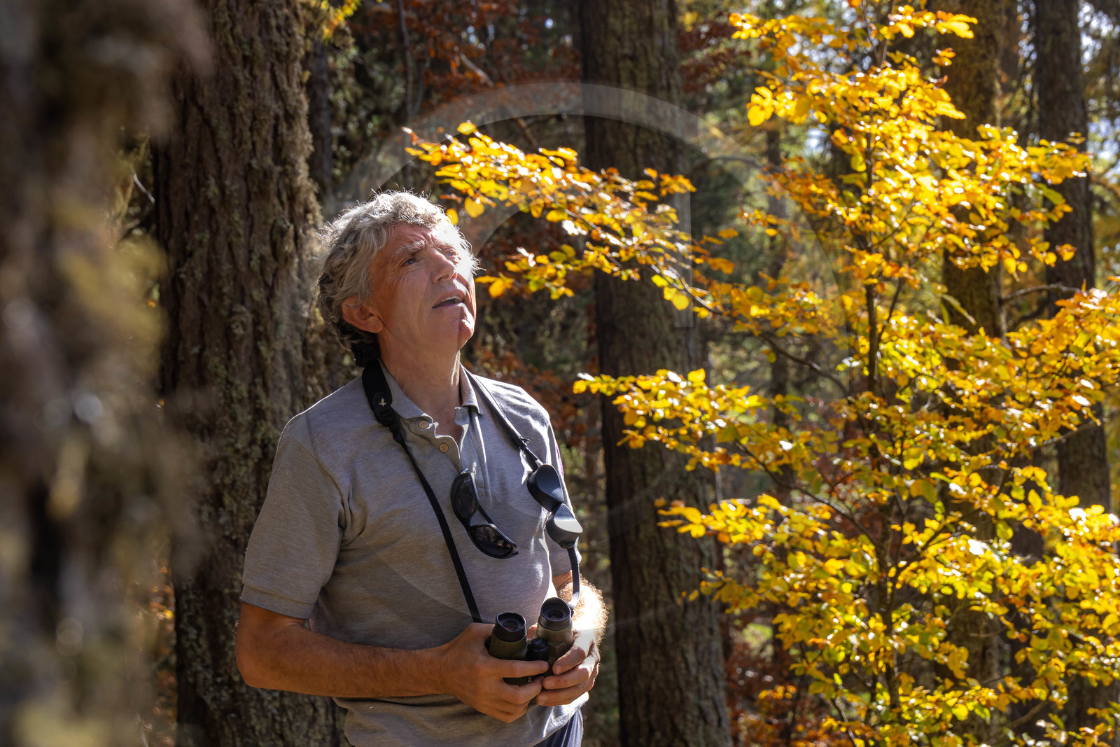 Marc Corail, garde-moniteur du Parc national des Ecrins
