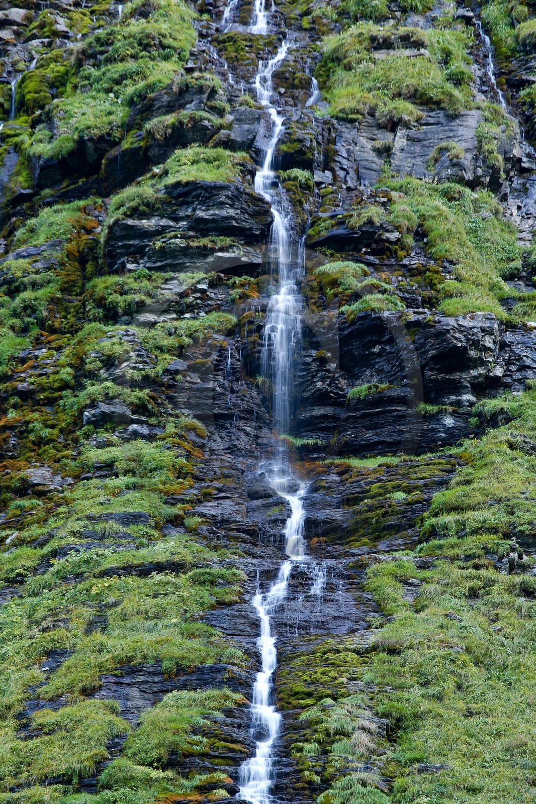 Réserve naturelle de Sixt-Passy, Cascades du Torrent de Salles