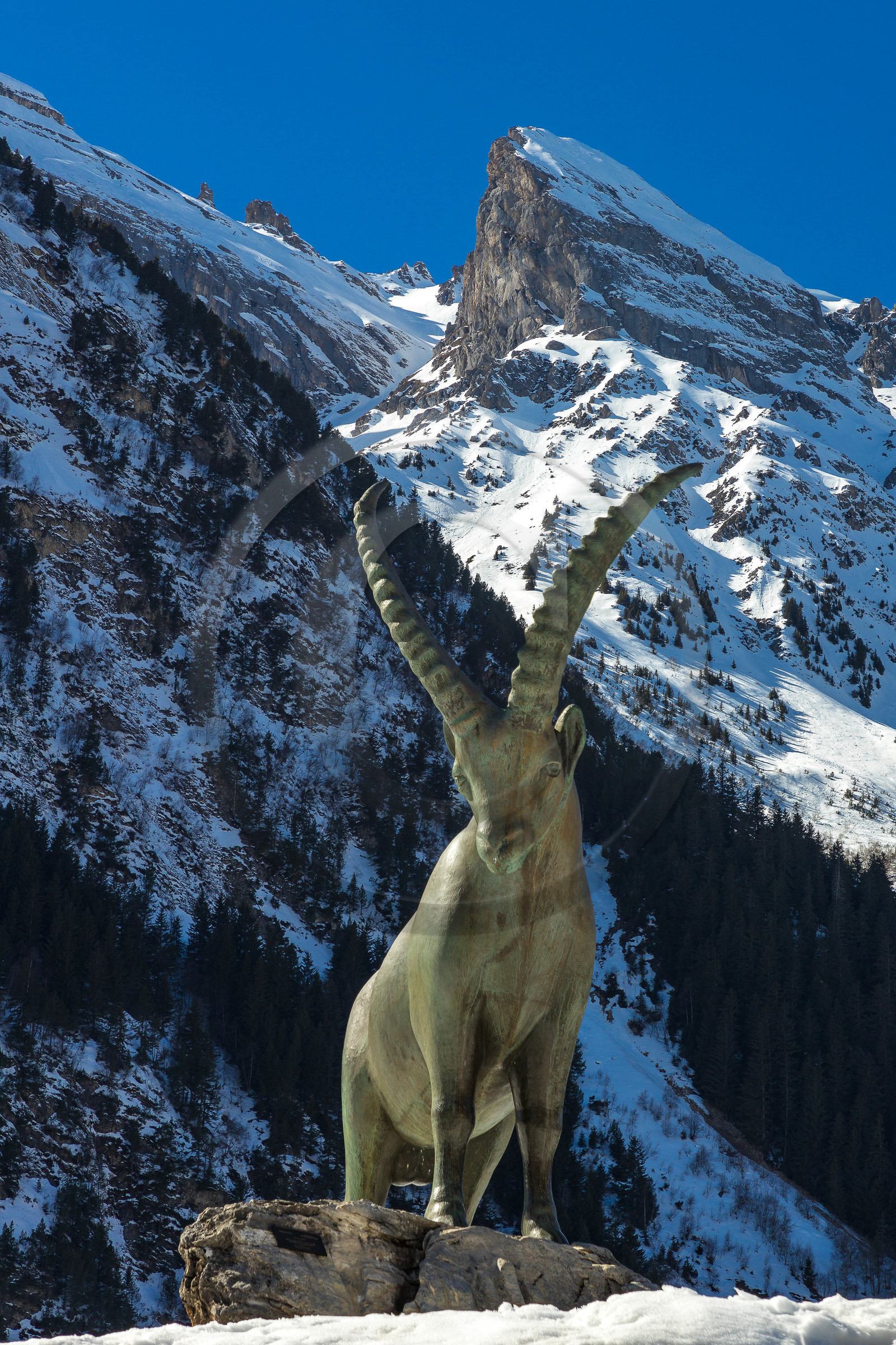 Pralognan-la-Vanoise, bouquetin en bronze