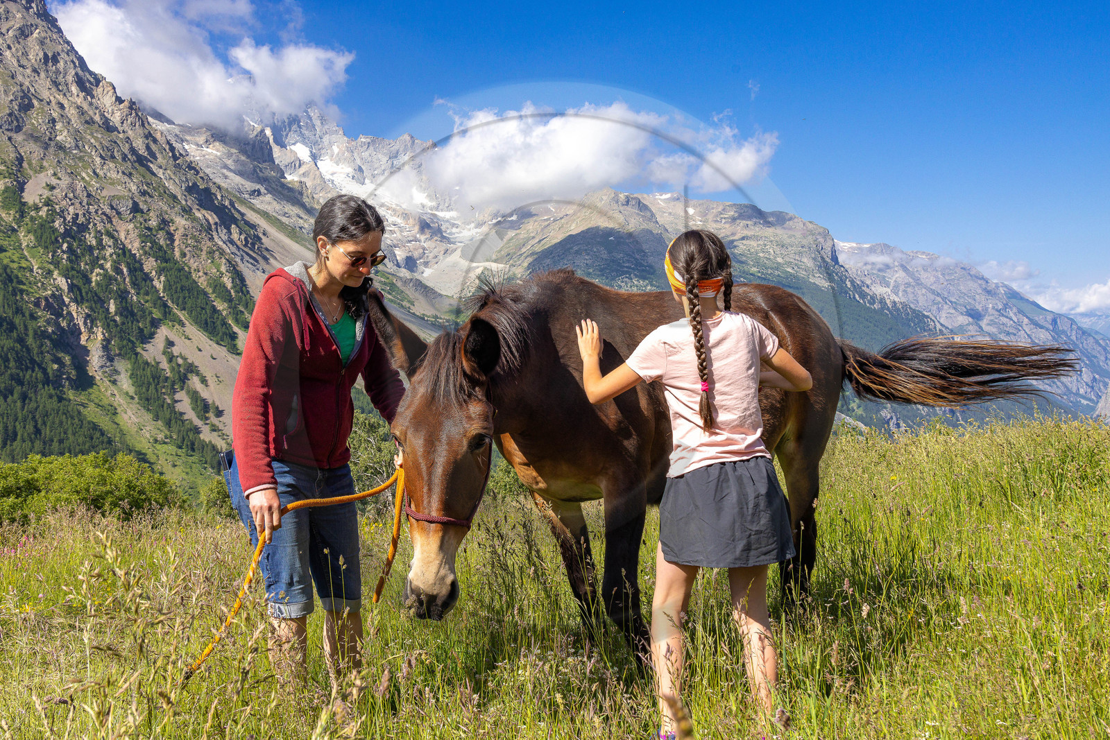 Trek famille avec animaux de bats