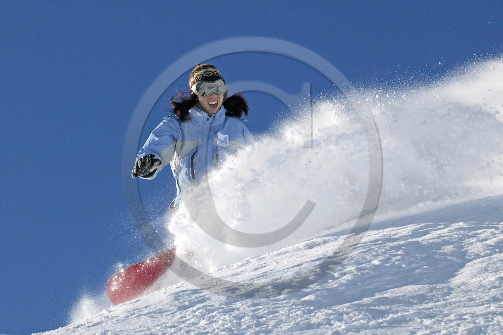 Surf des neige, Snowboard