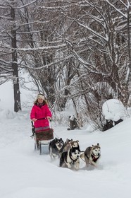 La Condamine-Châtelard, Sainte-Anne la Condamine, Coralie Bonnerot et ses chiens de traineau