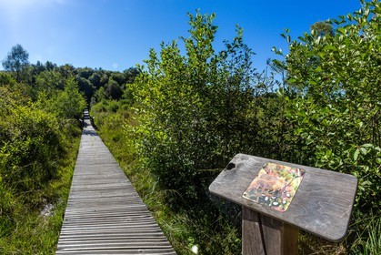 ENS de l'Isère, Tourbière des Planchettes