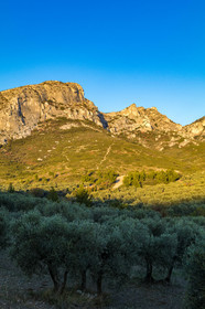 Les Baux de Provence, Domaine La Fabresse