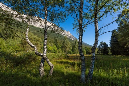 ENS de l'Isère,Tourbières du Peuil