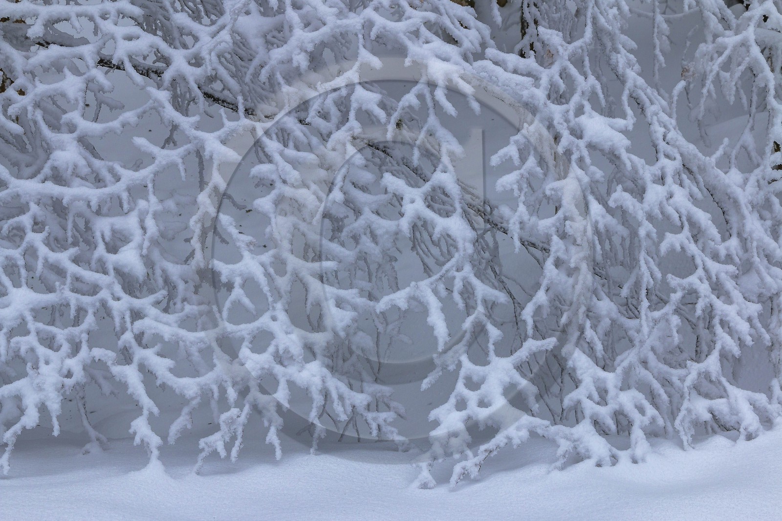 ENS de l'Isère, Les Ecouges